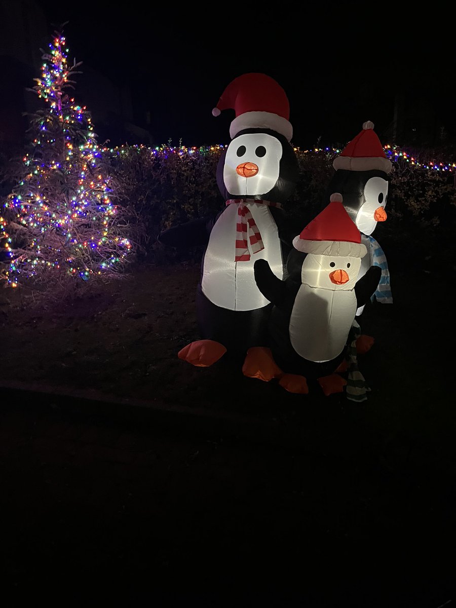 math5teacher's tweet photo. So these inflatable penguins have been the bane of my life since putting them up. Collapsing or trying to blow away daily drives me nuts but then this morning I got this through the door 🥰🎄🐧 so happy they are giving our little neighbours joy! https://t.co/rPITW6i51E