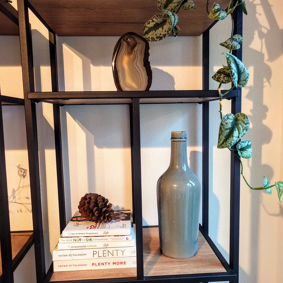 InsightStones's tweet photo. Deze twee pronkstukken hebben hun thuis gevonden ๐ฅฐ๐๐.
Ze staan echt te shinen! Het maakt mij zo blij als jullie blij zijn ๐ฅฐ.
#insightstones #edelstenen #labradoriet #labradorietsculptuur #agaat #kristallen #mineralen #shinebright #homedecor #interieur #interieurinspiratie https://t.co/q1j96fEv6X
