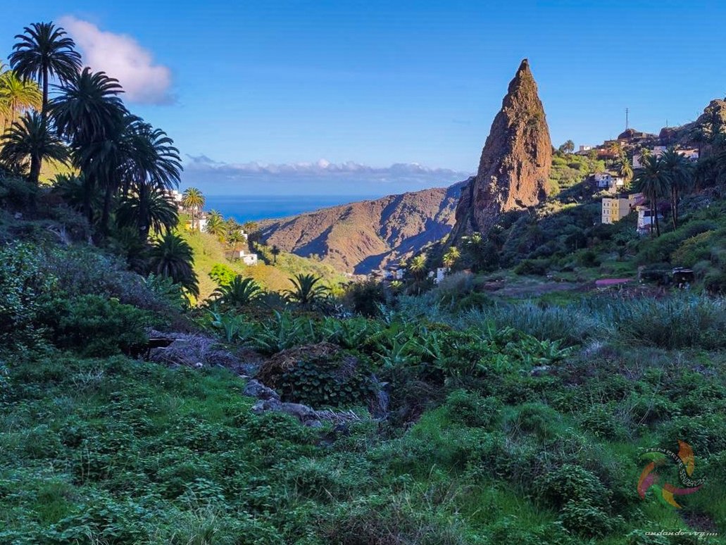 Parque Nacional de Garajonay 
#lagomera #tenerife #españa #canarias #senderismo #wanderlust #trekking  #landscape #hiking #outdoors #gopro #latituddevida #photography #sony #canaryislands #clouds #nature #elcedro #hermigua #islascanarias #spain_photographs  #elcedro #garajonay