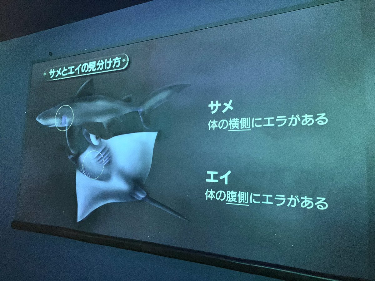 見分けられんことある? 