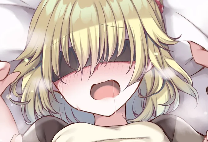 冬コミお宣伝③!珍しく薄くてWAKANな挿絵も数点描いてます 