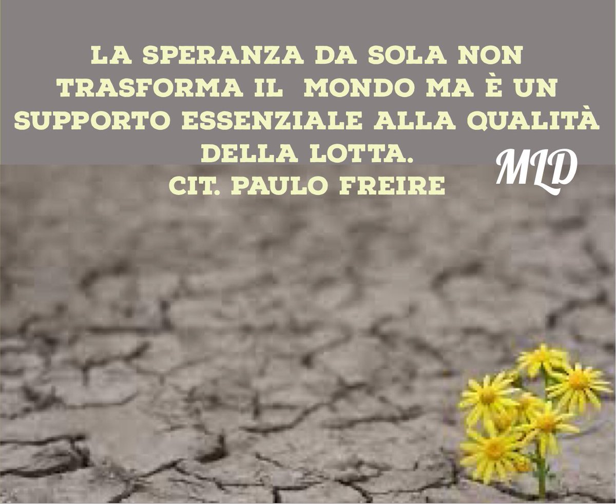 MARCO LO DICO (@marcolodico1) on Twitter photo 