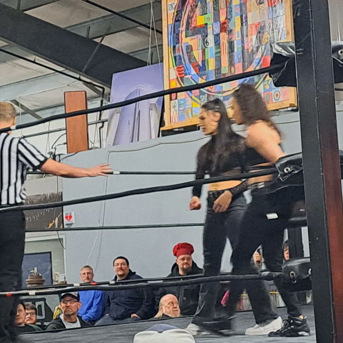 BrandonLattimor's tweet photo. @Renegade_Twins @CharRenegade_1 @W18Robin Showing why they can't be stopped and are the best #WrestlingatSouthern the other day #GetUSum https://t.co/G6OWoU5jMf