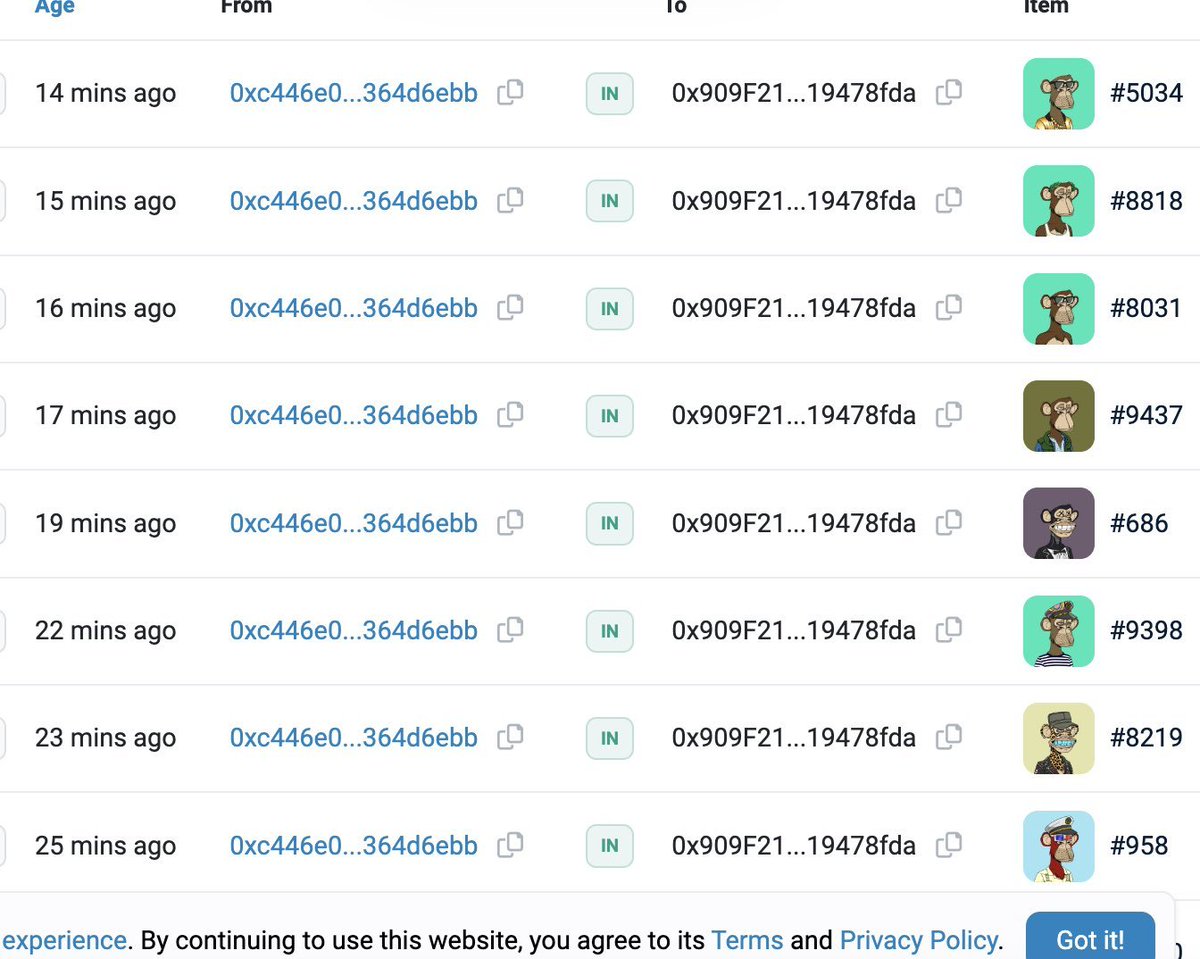 NFT_Dreww.eth tweet media