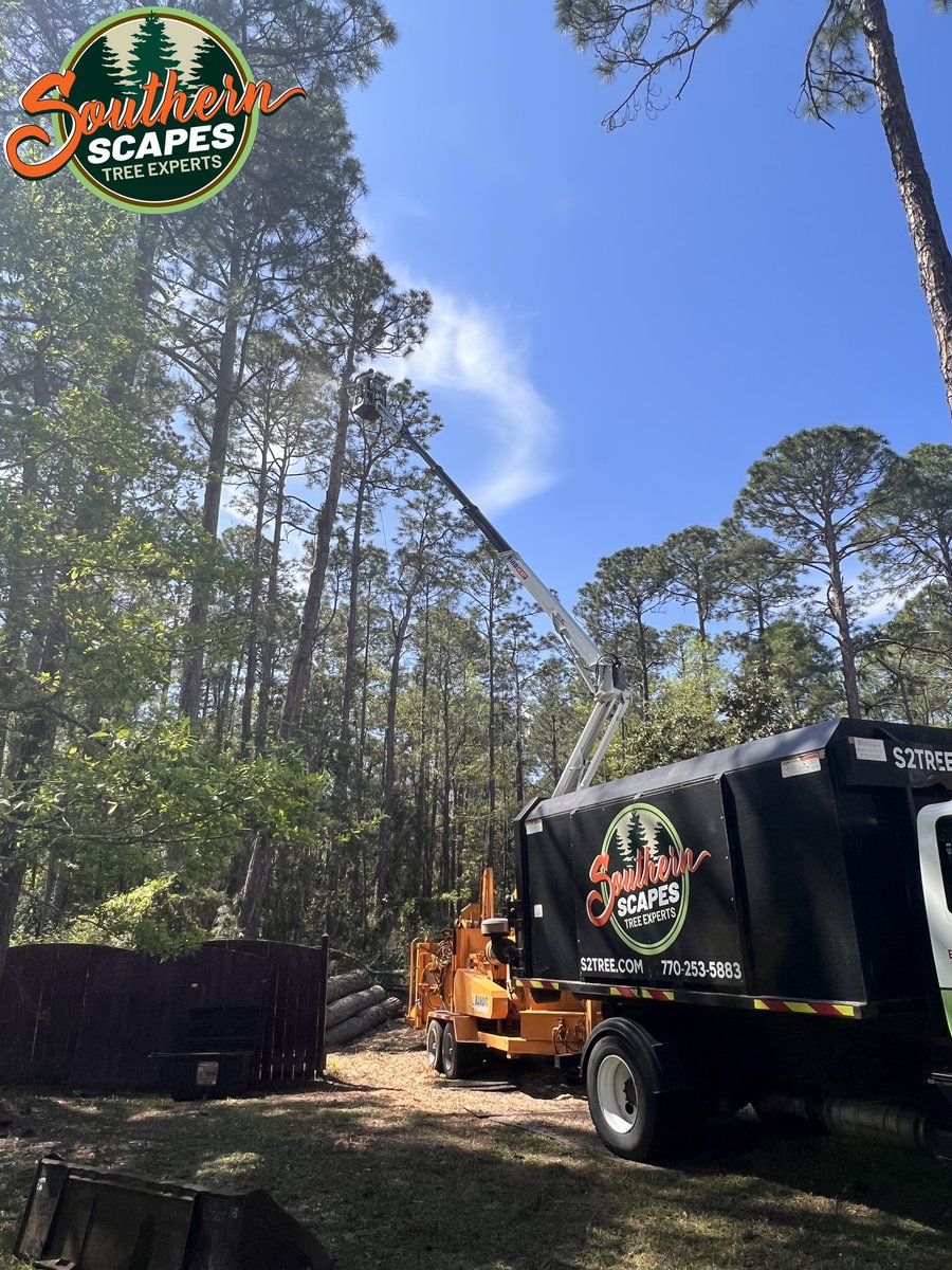 ScapesTree's tweet image. 🏞️🛠️ Discover our tree removal expertise! 🌳🪓 #TreeRemovalGallery #SkilledTeam #SouthernScapesTreeExperts s2tree.com/gallery/