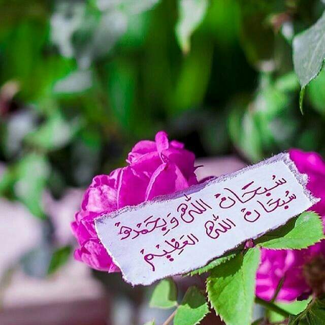 Musafir_e_dunya's tweet photo. یعنی تم تلاوت قرآن اور ذکراللّٰه کواپنے اوپرلازم کر لو کیونکہ اس سے آسمان میں تمہارا تذکرہ ہوگا اور زمین میں تمھارے لیے نور ہوگا
[مشکاۃالمصابیح] https://t.co/BvQrzCIwnL