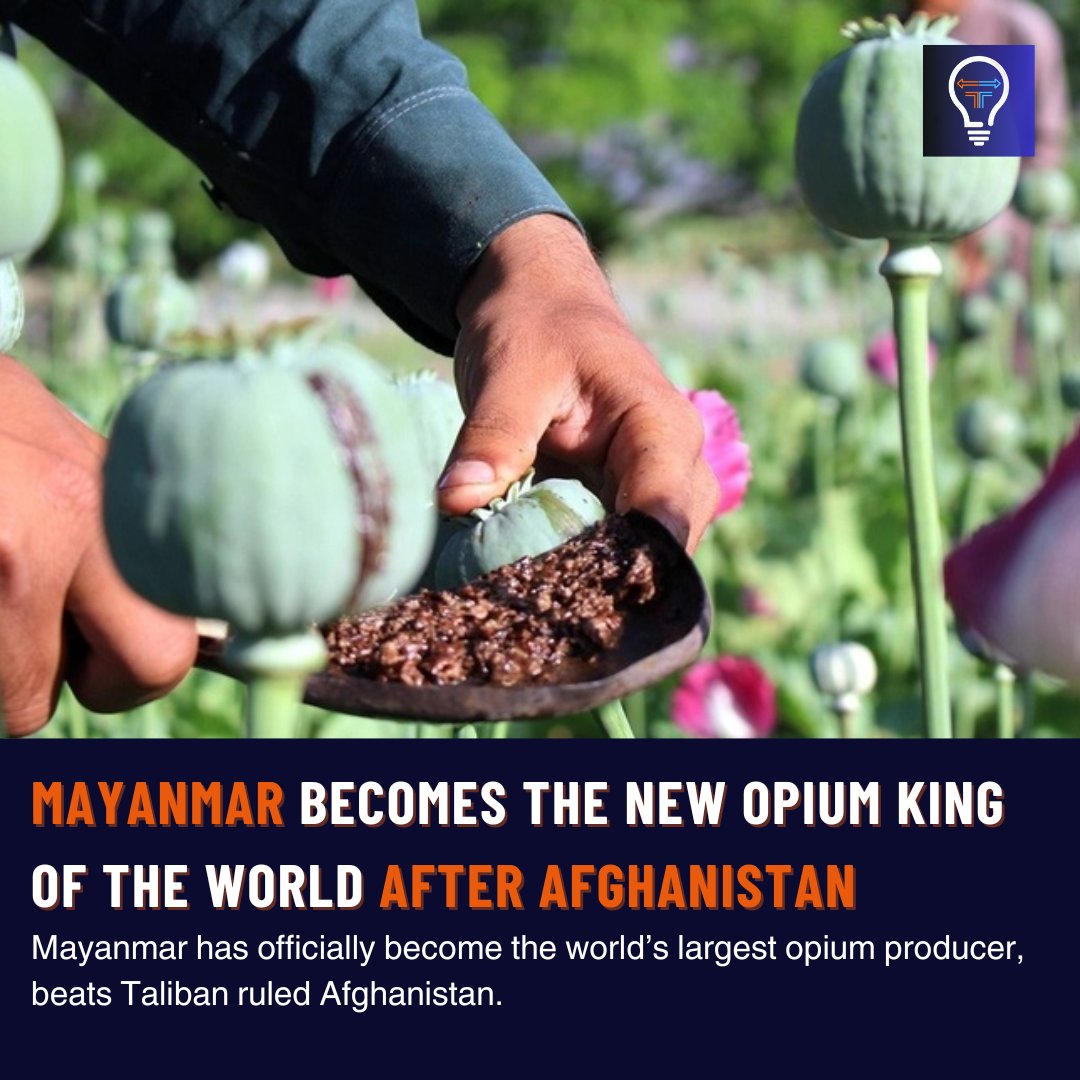 fiscalfuel's tweet photo. #Myanmar has overtaken #Afghanistan as the top #opium producer globally due to the #Taliban's #ban, causing a 95% decline. Now, Myanmar has become the lucrative center for opium #production.
#fiscalfuel #farming #drug #farmers #facts #NEWS #Updates #worldwide https://t.co/3fnTm49pXp
