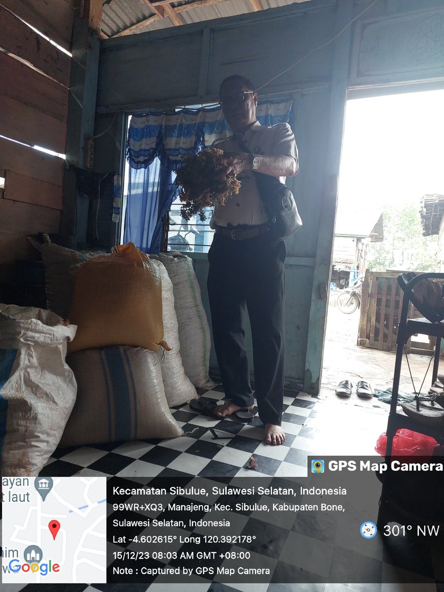 MSyafruddin15's tweet photo. Jumat(15/12/2023), M. Syafruddin, Luhkan Kab. Bone, 
di Pokdakan pakamase dan SipakatauDs Manajeng, mendampingi Panen 
Rumput laut pantai, long line, sebanyak 2300 kg, 
luas lokasi di laut 15000 m2, bobot panen 1000 gr, harga 15000/kg

#GiatLuhkanSatminkalMaros #Bone#Panen https://t.co/qmtsFIr0T1