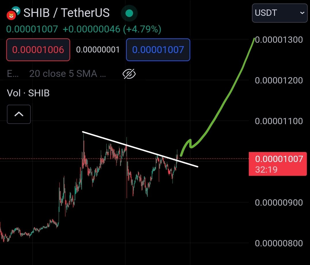 $SHIB KNIGHT tweet media
