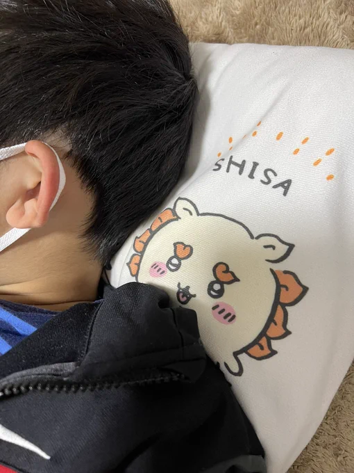 こさぶちゃん、ようやっと寝ました。ジャージのまま寝ちゃった。しんどそうだ。 夜になって突然お腹が痛いと言い出した長男そらじろちゃんは今ようやっとお風呂に入ってます。今日は下がりまくってた気圧がギューンと上がってきたので私はそれでしんどかった…
