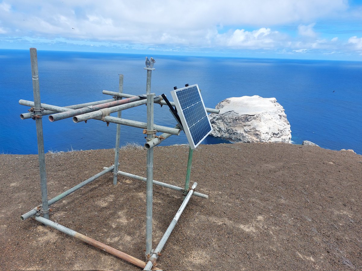 This week we have installed a new high spec camera to observe the #seabirds nesting on offshore Boatswainbird Island. This is part of a <a href="/UKBCFs/">Biodiversity Challenge Funds</a> Darwinplus project in collaboration with <a href="/seabird_watch/">Seabird Watch</a> 
#RemoteMonitoring