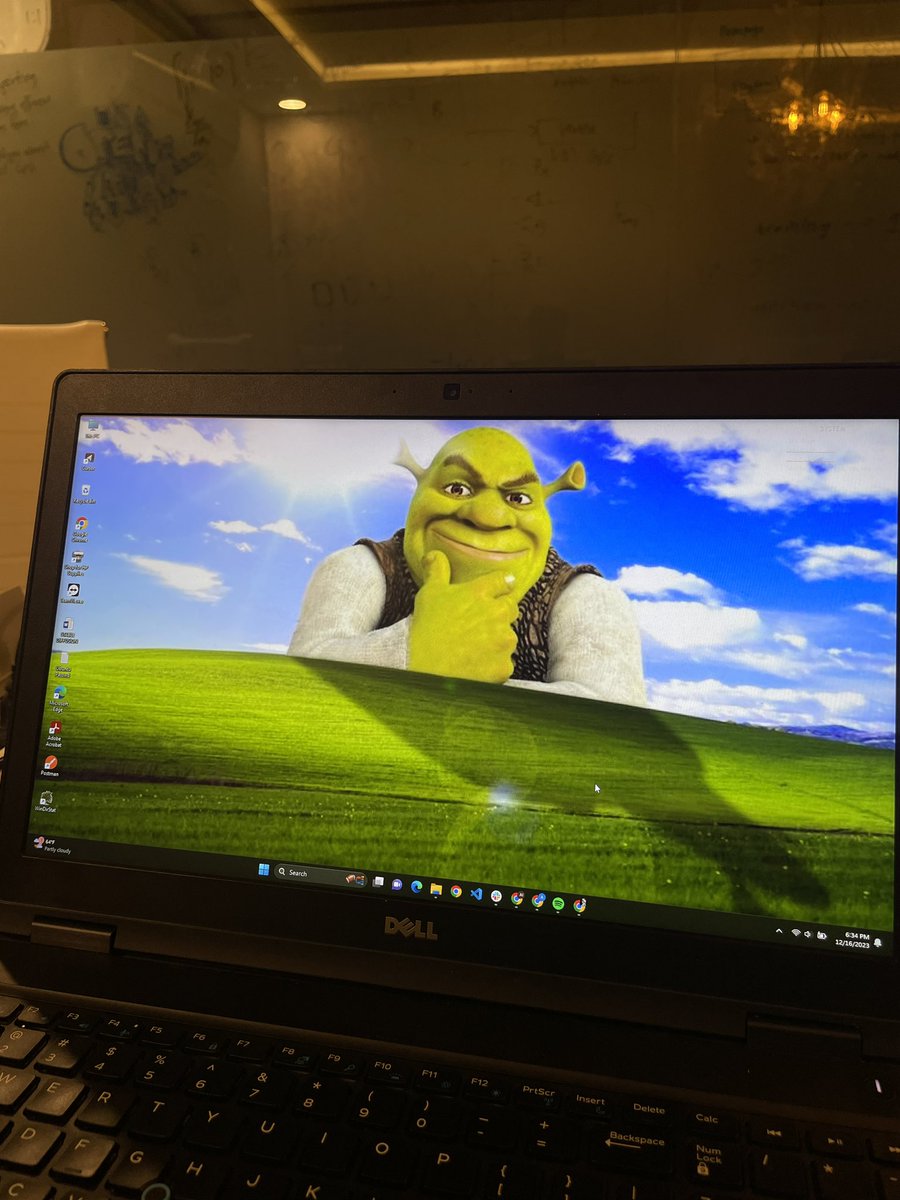 only acceptable wallpaper for company laptop