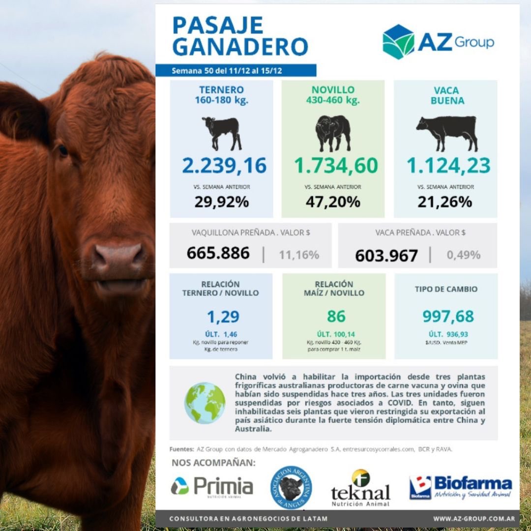 AZGroup_ok's tweet photo. ¡Cierre de la semana con éstos dos resúmenes: Pasaje Ganadero 🐂 📊 + Mercado de Granos!🌽🌱
💡En el pasaje Ganadero nos acompañan: @EspacioPrimia @BiofarmaSA  @TeknalOficial @AngusAsocArg 

#agro #ganadero #resumen #vacas #mercado #novillos #terneros #agronegocios #campo #soja https://t.co/x2y8OykOqD