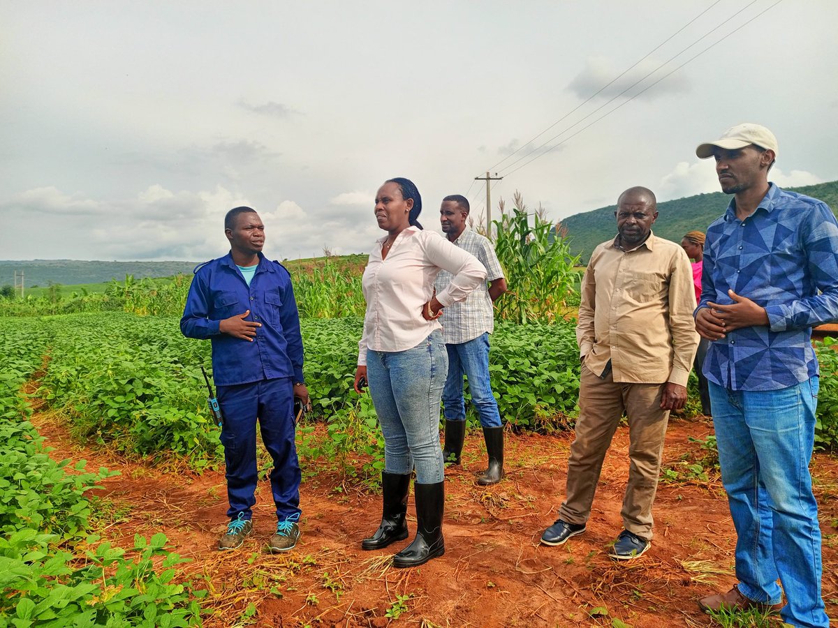 EnvironmentRw's tweet image. Umunyamabanga wa Leta @DrUwera yasoje ruzinduko rw'iminsi 3 yagiriraga mu ntara y'i Burasirazuba. 

Muri uru ruzinduko, yasuye ibikorwa by'imishinga irimo #TREPA na #COMBIO ifasha abaturage mu kubungabunga amashyamba ndetse gutera amashya aho atari. 

#GreenRwanda🇷🇼🌿