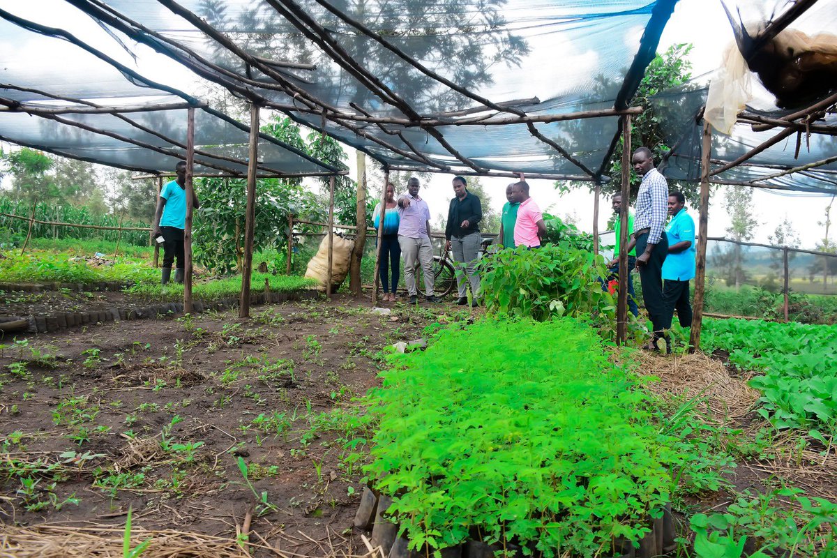 EnvironmentRw's tweet image. Umunyamabanga wa Leta @DrUwera yasoje ruzinduko rw'iminsi 3 yagiriraga mu ntara y'i Burasirazuba. 

Muri uru ruzinduko, yasuye ibikorwa by'imishinga irimo #TREPA na #COMBIO ifasha abaturage mu kubungabunga amashyamba ndetse gutera amashya aho atari. 

#GreenRwanda🇷🇼🌿