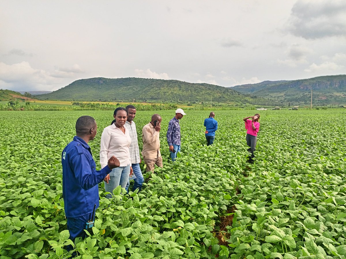 EnvironmentRw's tweet image. Umunyamabanga wa Leta @DrUwera yasoje ruzinduko rw'iminsi 3 yagiriraga mu ntara y'i Burasirazuba. 

Muri uru ruzinduko, yasuye ibikorwa by'imishinga irimo #TREPA na #COMBIO ifasha abaturage mu kubungabunga amashyamba ndetse gutera amashya aho atari. 

#GreenRwanda🇷🇼🌿