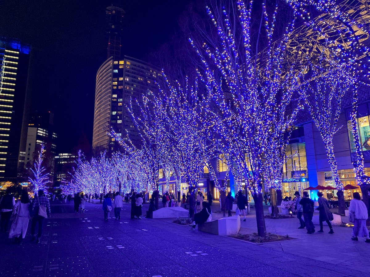 「今日は年末と思えないくらい気候があったかかった...友達と横浜散策ついでにアルジ」|カラナシ マリのイラスト