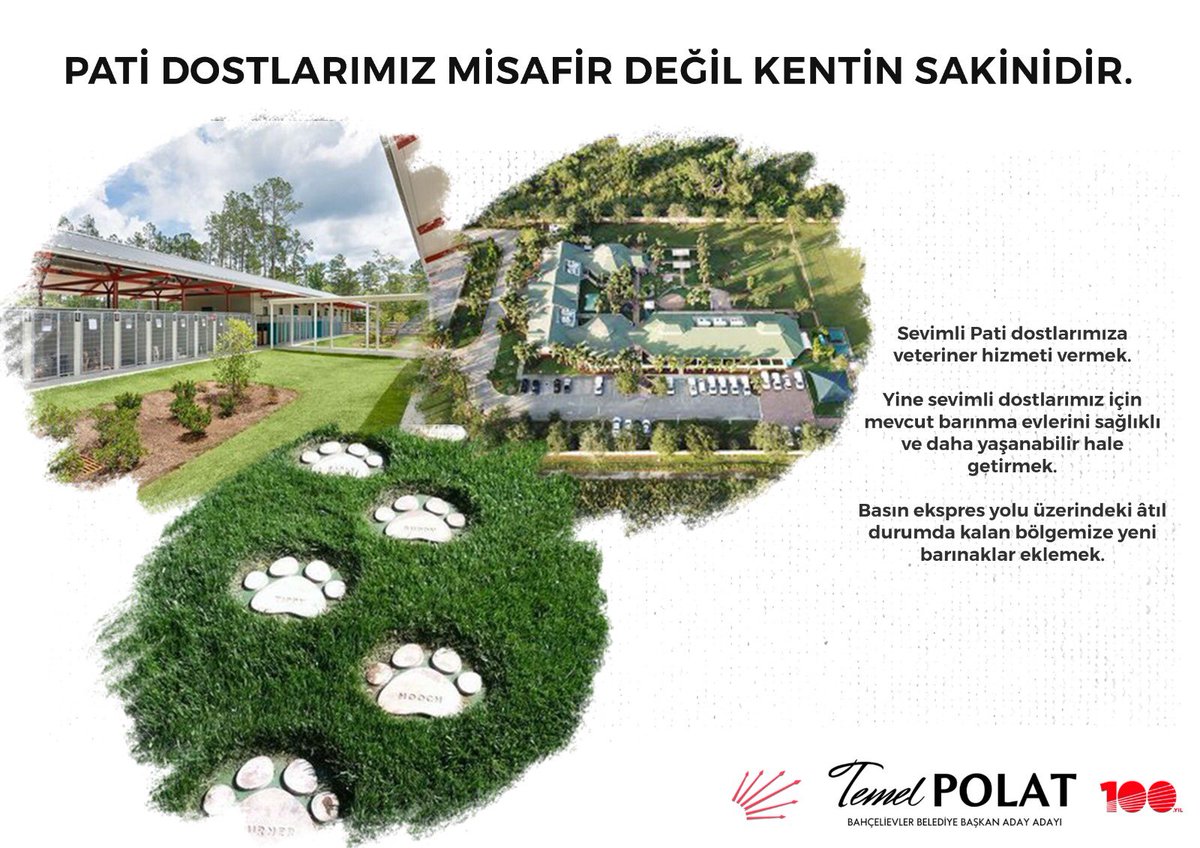 Temel POLAT tweet media