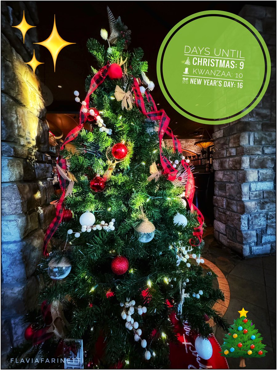 FlaviaF_1310's tweet photo. #goodmorning #DAYSUNTIL
🎄#Christmas : 9
🕯️ #Kwanzaa : 10
🎊 New Year's Day: 16 #ChristmasCountdown #ChristmasTree #FelizSábado #SaturdayMorning #HappySaturday https://t.co/dTh7jTZYvi