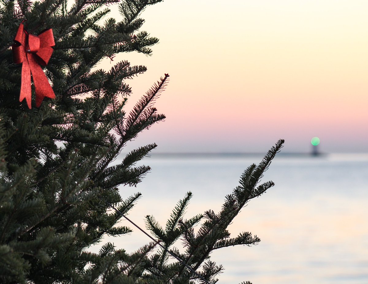 Do you see what I see …

#Christmas #lighthouse #OldSaybrook #DecemberLightChallenge