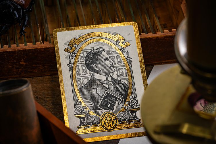 Dribbble tweet media