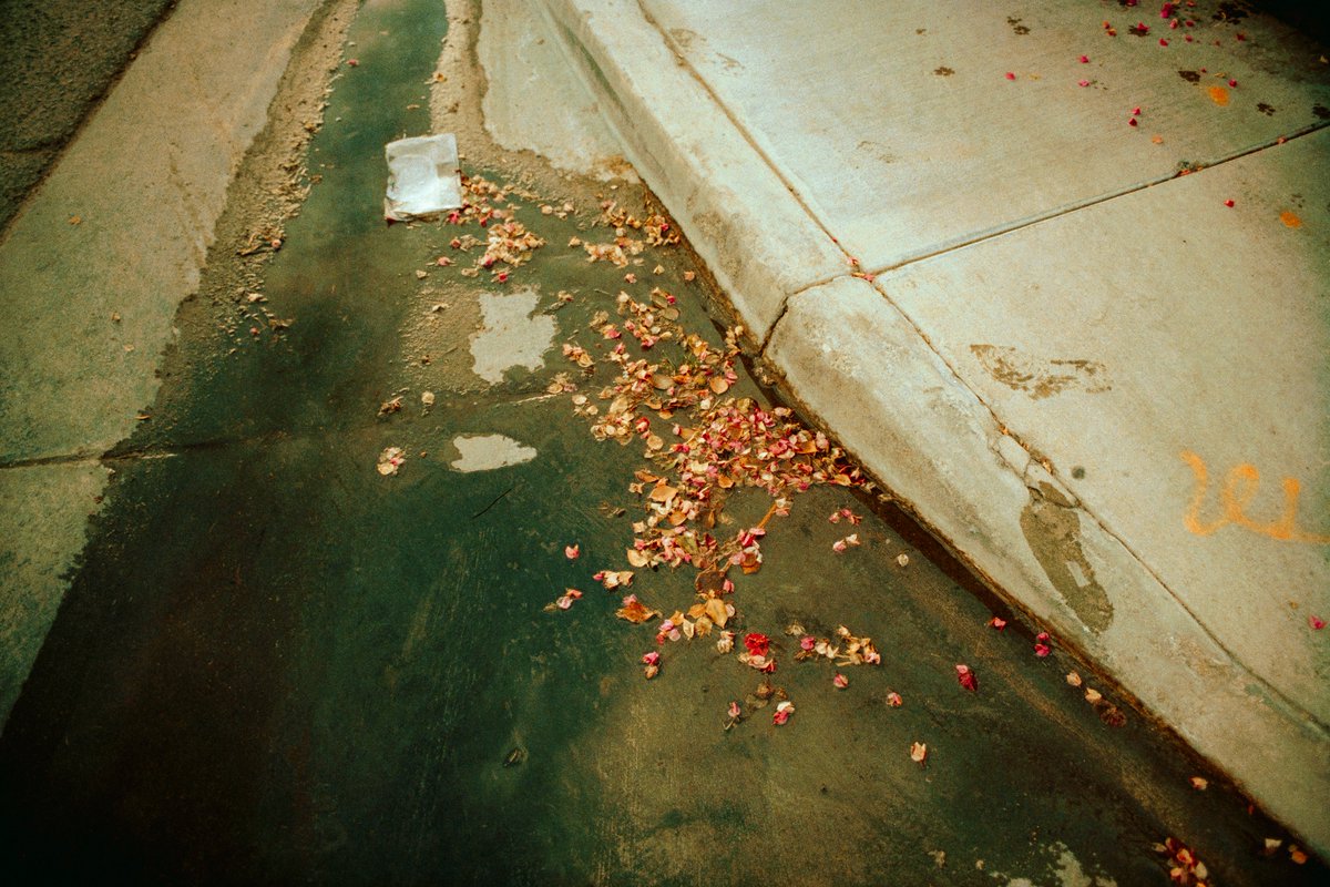 My photography on Solana 🎞