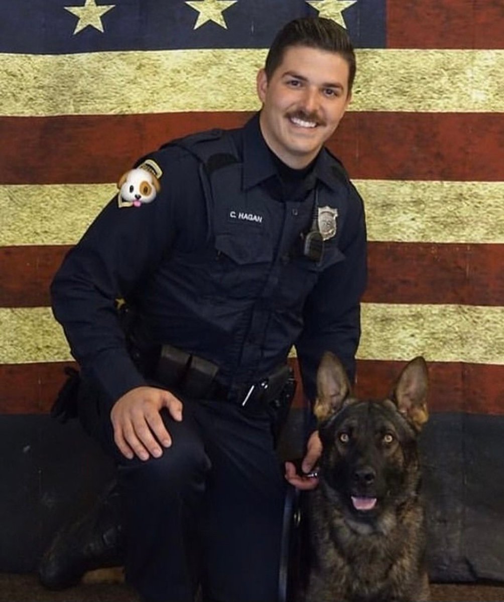 catmurphy209's tweet photo. Good news! 🙂
Ohio K-9 Igor will be allowed to retire and live with his cop handler.
Police Chief was going to separate the two partners until the officer paid $16,500 to keep dog in his family.
#SaveK9Igor https://t.co/4kURiWKBMR