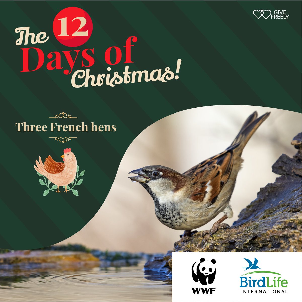On the third Day Of Christmas, 🌲 forget the "Three French Hens" with a tribute to feathered friends and the wonders of wildlife! Support the cause of BirdLife International and WWF through Give Freely.
#givefreely #wwf #birdlifeinternational 
Shop. Save. Support!