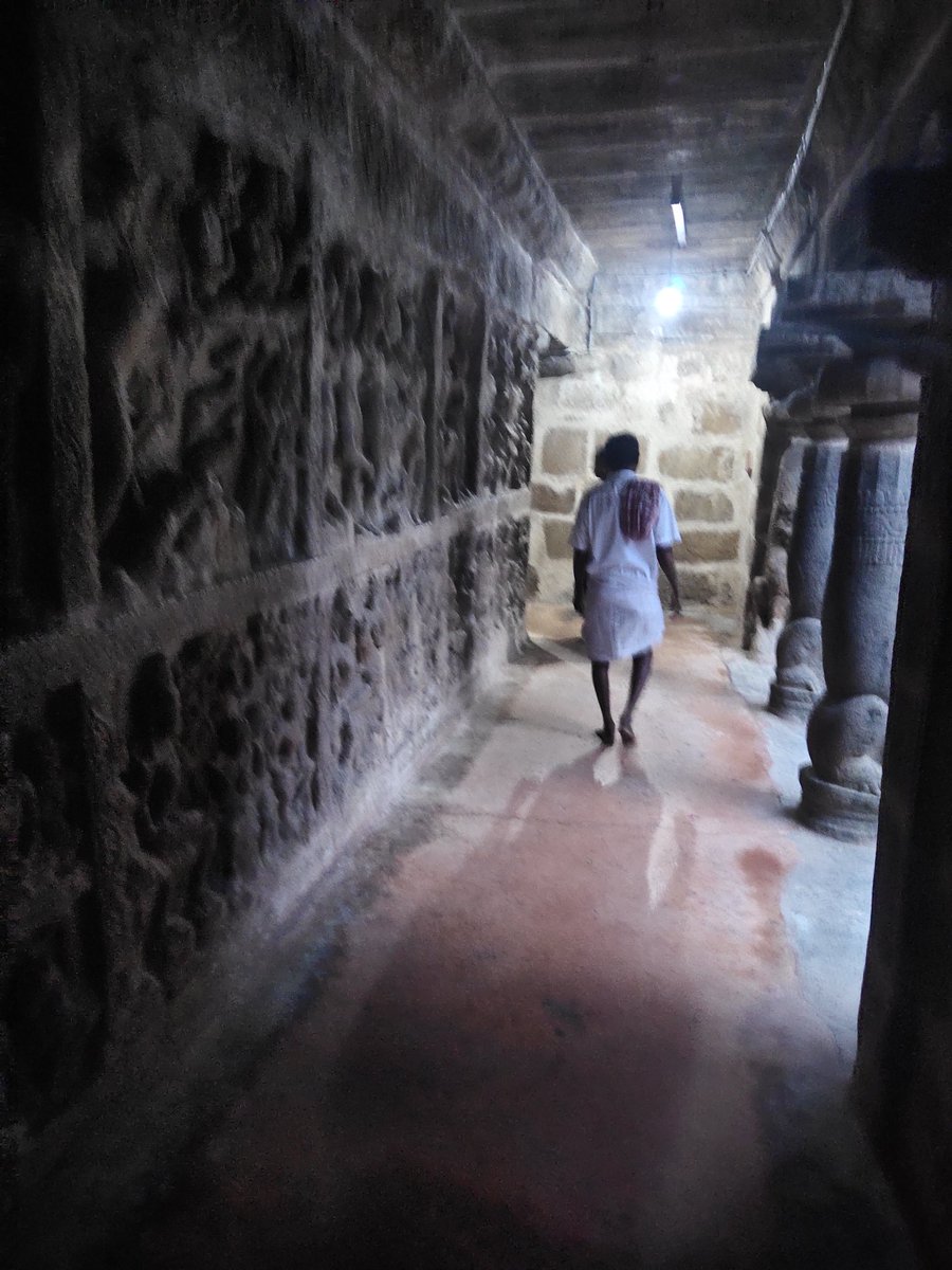 Carnage Kabuto tweet media