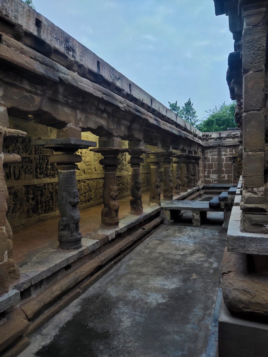 Carnage Kabuto tweet media