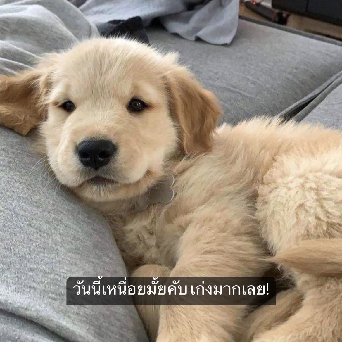 itmydefinition's tweet photo. พี่ๆ คับ https://t.co/DOjme8eL1a