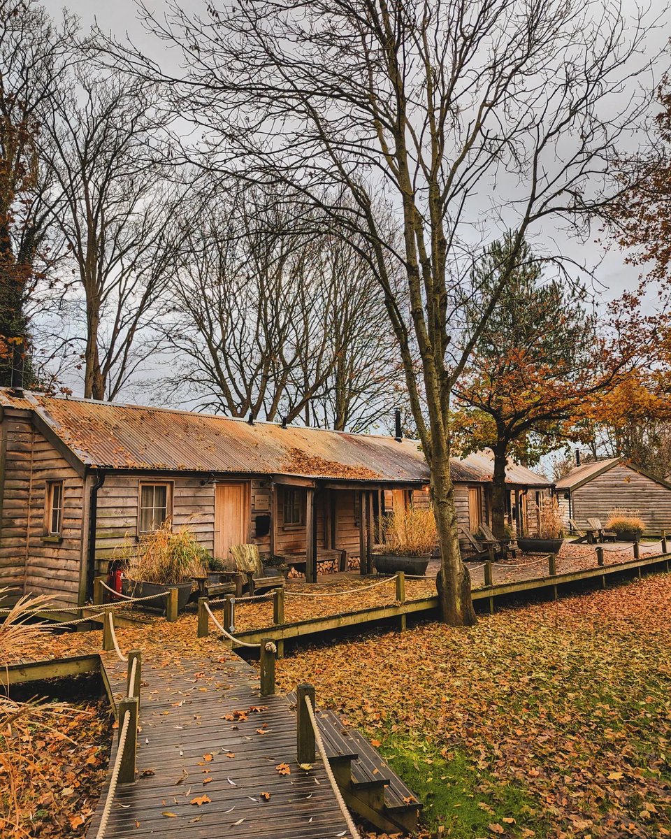 John O'Ceallaigh tweet media