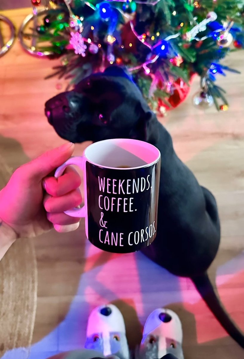 the most wonderful time of the year 🎄🌟🎀