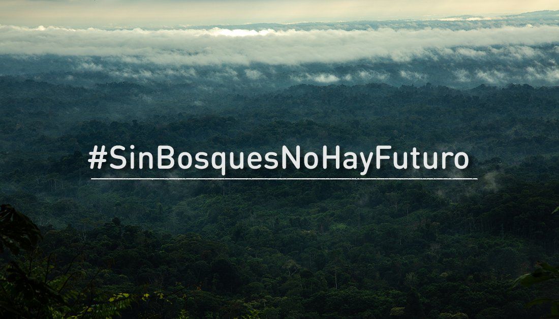 La modificación de la #LeyForestal triplicará la deforestación anual en la Amazonía (<a href="/SerforPeru/">Serfor Perú</a>), y arriesga los derechos de #PueblosIndígenas.
El bosque amazónico es clave para la lucha contra el cambio climatico, su desprotección será un retroceso en el desarrollo sostenible.