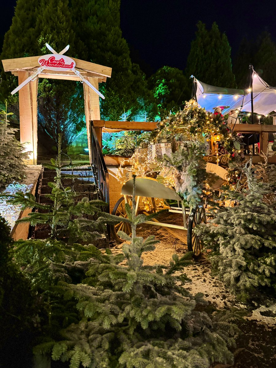 Absolutely fabulous winter wonderland Christmas party with <a href="/HJrespiratory/">HJ Respiratory</a> <a href="/HughJamesLegal/">Hugh James</a> Merry Christmas everyone ❤️🎄🥂 looking forward to seeing you all in 2024 🌟