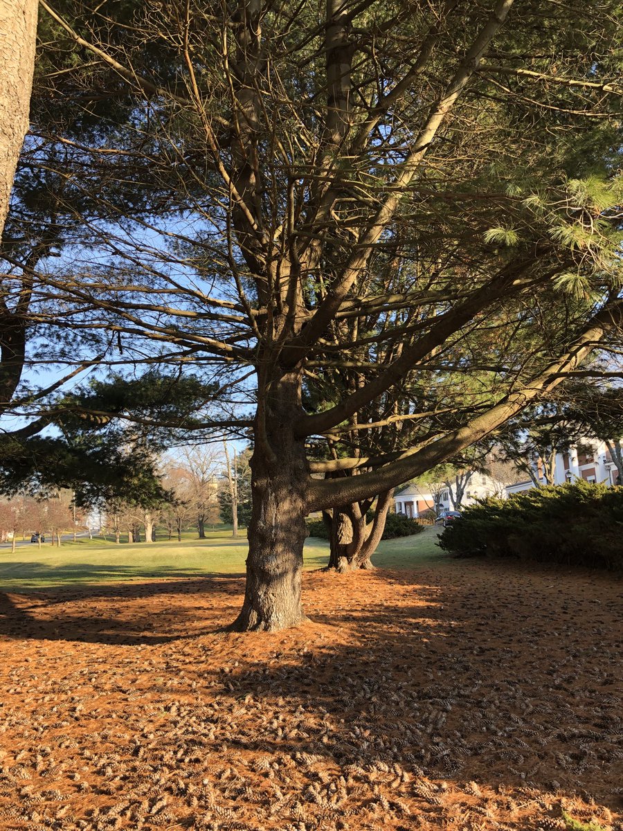 Enjoyed a long hike around @amherstcollege this morning with @hawkeceprof. Great to live in beautiful @townofamherst with the five colleges in the area.