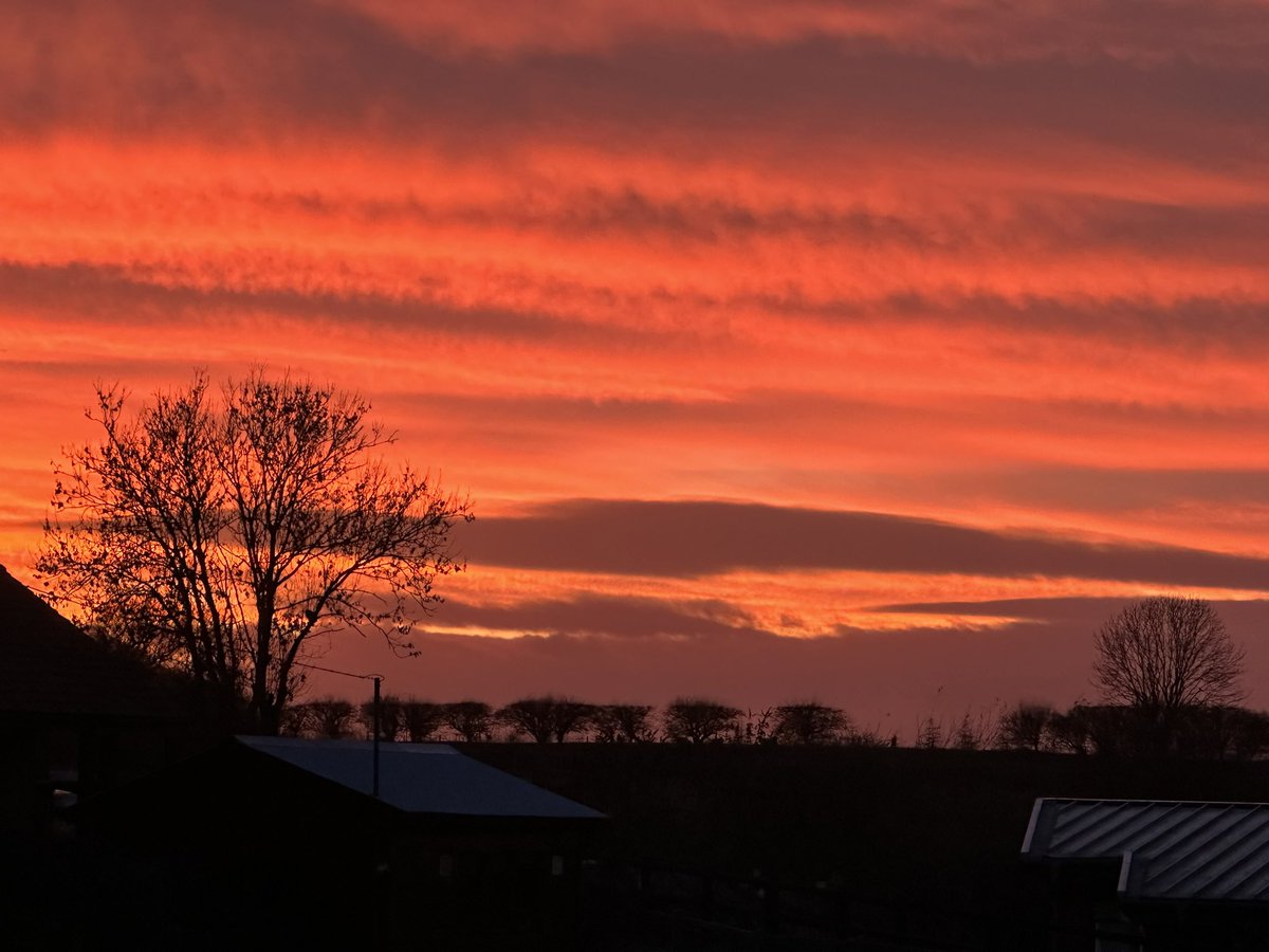 Larchfield Community tweet media