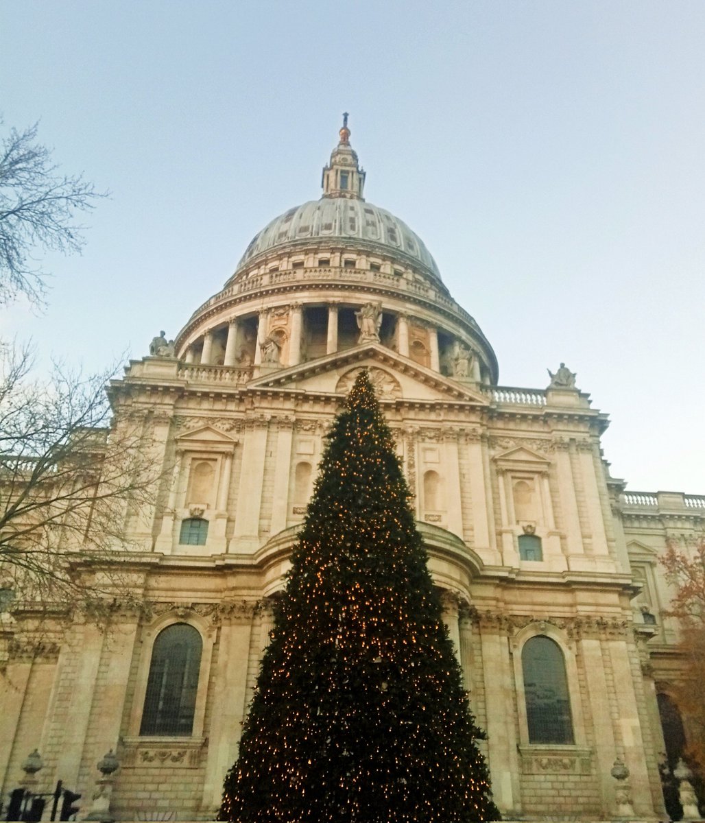 bosiecat's tweet image. 9... #christmascountdown2023🎄 #stpaulscathedral #iconictree