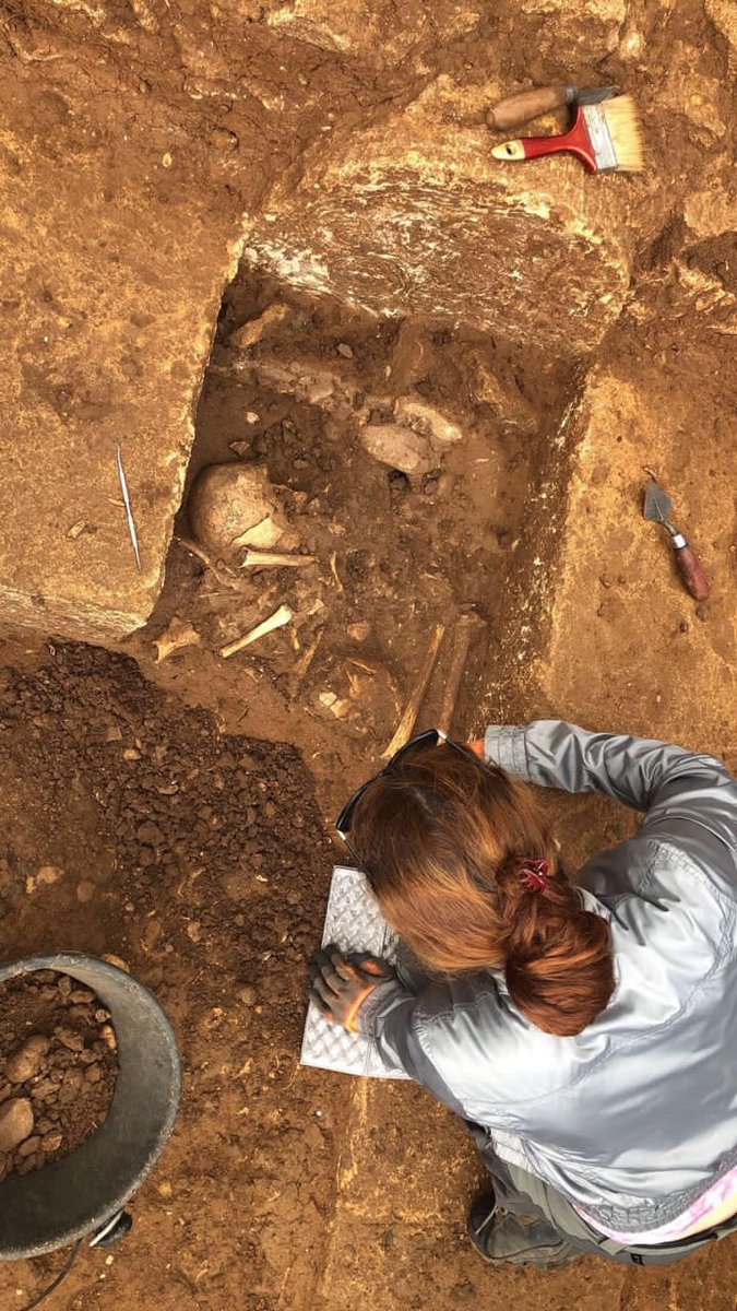 BenerradiMeryem's tweet photo. Exciting times at Sala Aïn Jenna #Chellah 2023! Proud to be part of the 100% Moroccan scientific team leading this project. My focus revolves around studying skeletal human remains from the Columbarium. 🌐🏛️ #moroccoarchaeology 
Press video : 
https://t.co/fcUqMpbjQZ https://t.co/ynTJc9QTW5