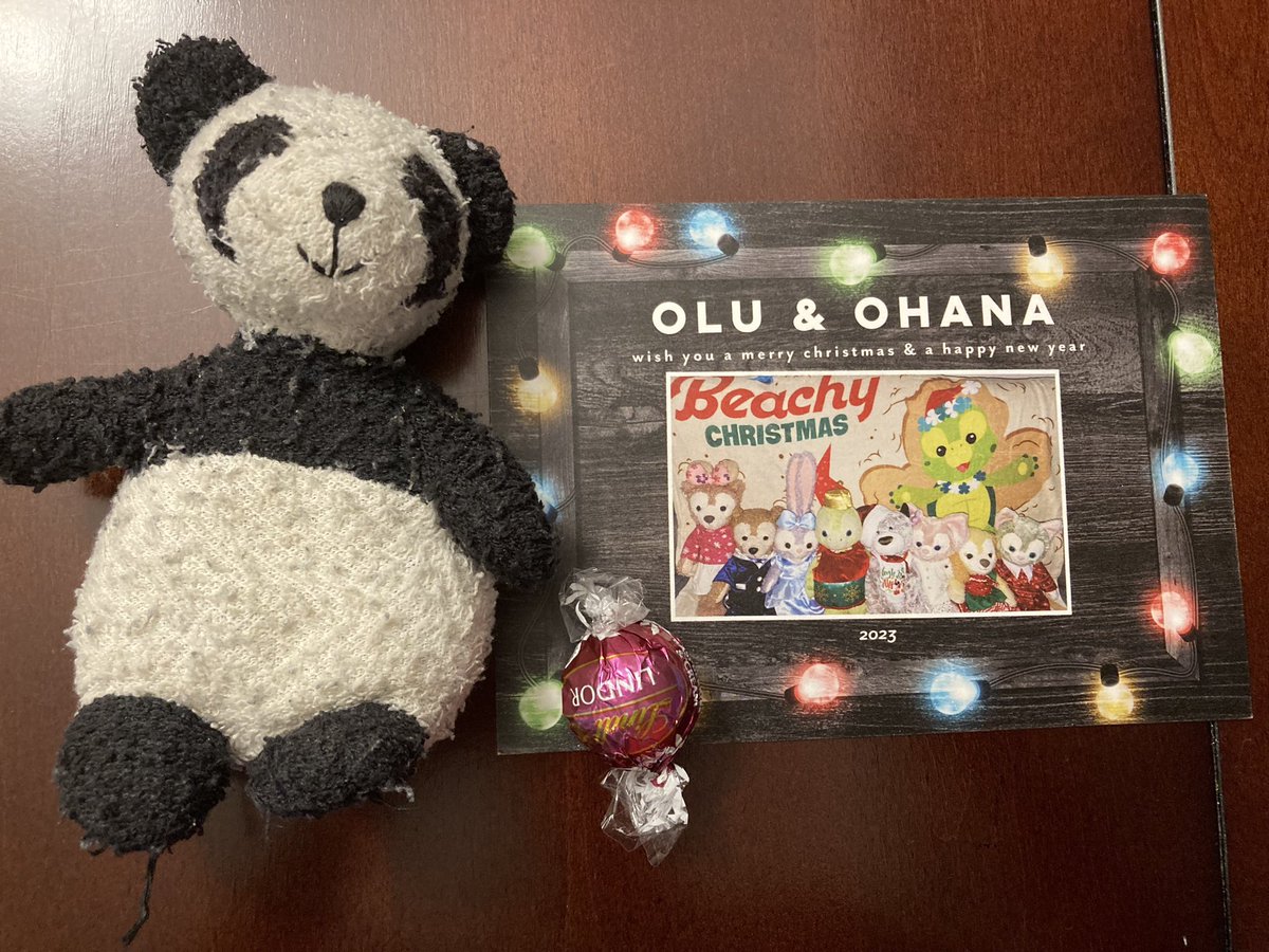 Adventure_Gauss's tweet photo. Today’s Advent calendar chocolate was yummy. I wish I could share with my friend Olu who sent me this card! Thank you Olu and Ohana! #adventCalendar #awesomeTurtle #turtleFriend @OluAndOhana https://t.co/X2d8fHhVa5