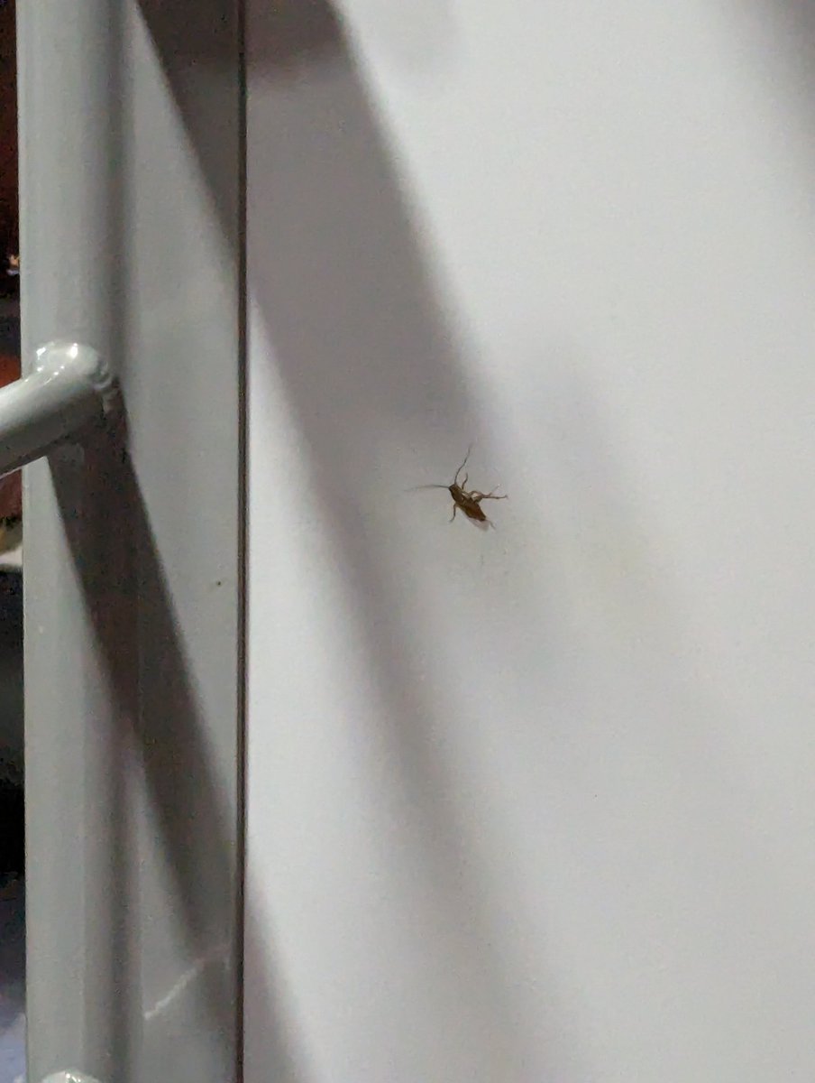 Tapas Kumar Mishra tweet media