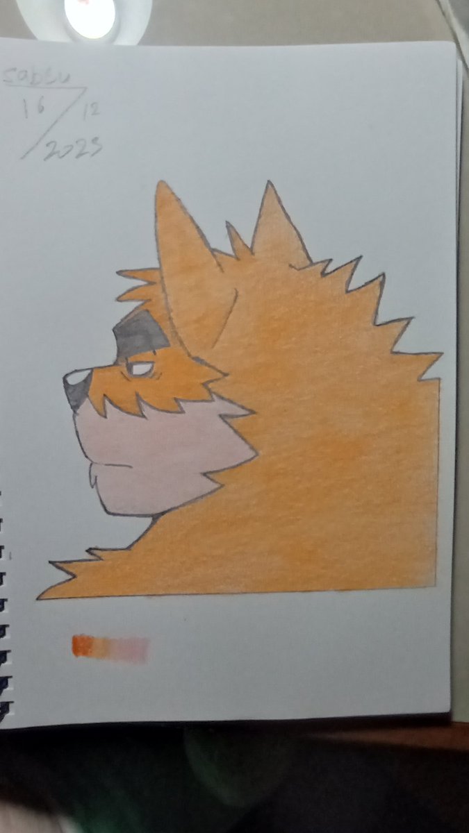 Furry_Fy's tweet photo. @arashi_takemoto I draw takemoto for you. Heheee :3 #furry #takemoto https://t.co/e59cDQvPWo
