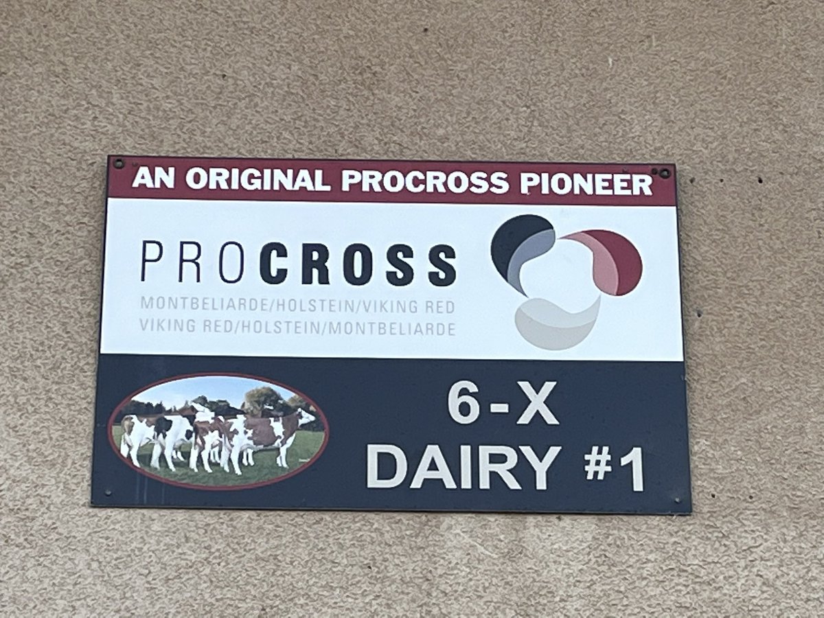 ProcrossCows's tweet image. News from ProCROSS pioneers in California investing for future : 
Brand new DeLaval 72-stall Rotary parlour at 6-X Dairy started earlier this week, 400 cows per hour ! 
Congrats to PC pioneers Gary &amp;amp; Amy O. and the entire 6-X crew 👏👏
#ProCROSS #Proven #Progressive #Profitable