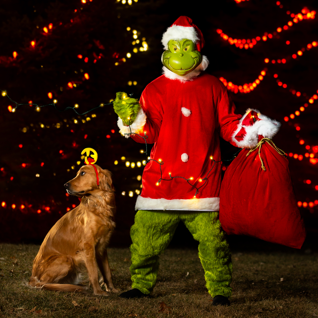 How the Grinch Stole Christmas Costume Accessories - Costume