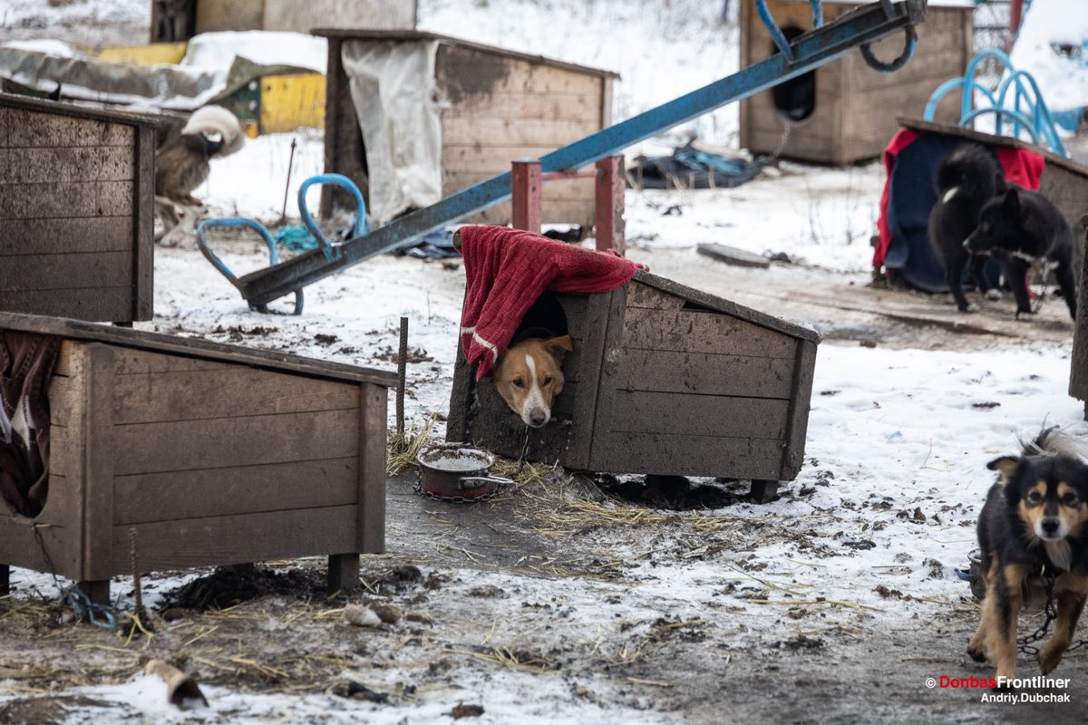 Andriy Dubchak tweet media