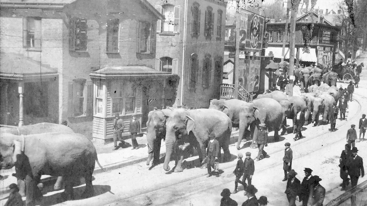 HudsonValSojourner (@hvsojourner) on Twitter photo Vintage Middletown NY
The Barnum & Bailey #Circus comes to #Middletown NY, #OrangeCountyNY c1906. There must have been a hell of a cleanup after the #parade of #elephants passed by.
hudsonvalleysojourner.com/hudson-valley-… Vintage Middletown NY
The Barnum & Bailey #Circus comes to #Middletown NY, #OrangeCountyNY c1906. There must have been a hell of a cleanup after the #parade of #elephants passed by.
hudsonvalleysojourner.com/hudson-valley-…