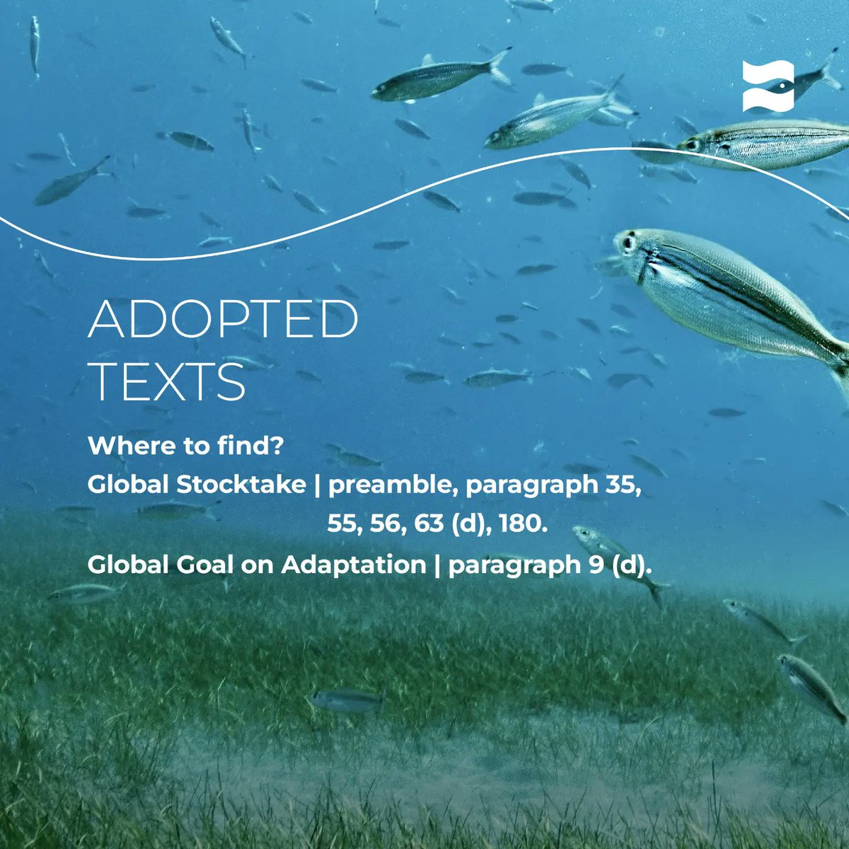 Oceano Azul Foundation tweet media