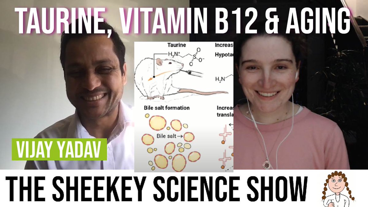 What is taurine and what happens with levels during age? I had a really enjoyable conversation with @VijayYadavLab this week about his research and interests in the field! Now available here --> youtu.be/MJrROCk5WKA #scicomm #academicYouTube