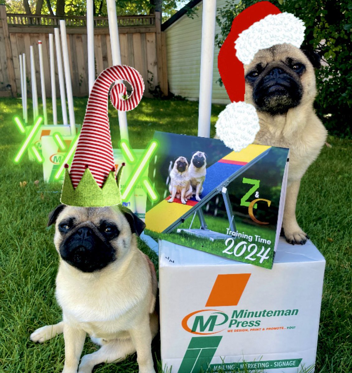 Less than ONE box of our #2024 calendars left ! Email igorpugdog@gmail.com to order … we ship 🎄

#puglovers #christmas #stockingstuffers