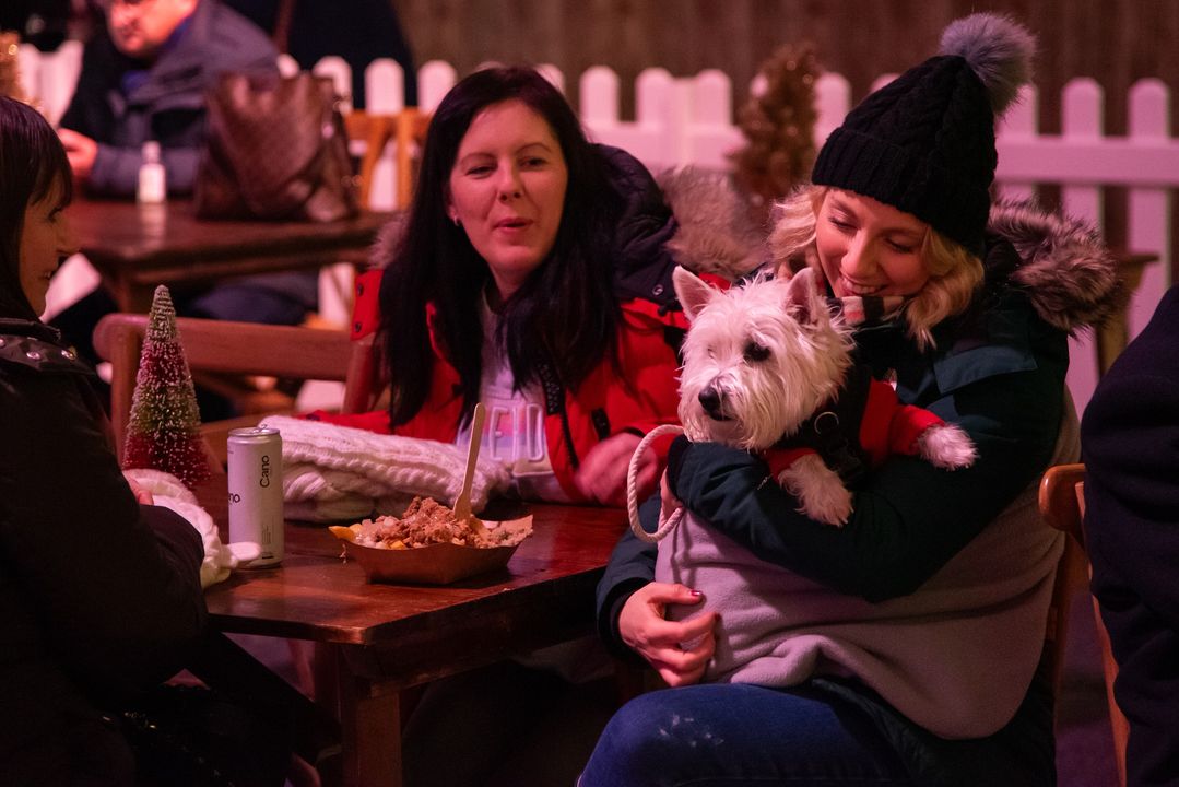 The Festive feeling has well and truly set in here at Bolesworth! Our Christmas wonderland is now open through to (and including) Christmas Eve! We open again from the 27th through to the 31st, so there's still plenty of time to join us and make some magical Christmas memories!